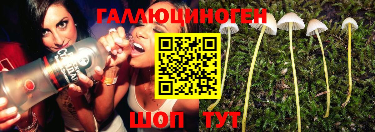 Галлюциногенные грибы Magic Shrooms  купить закладку  Реутов  Псилоцибиновые грибы мухоморы  Вход с VPN 