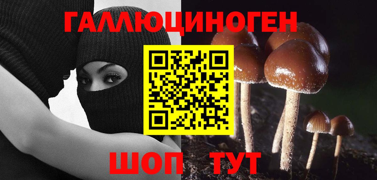 Псилоцибиновые грибы Cubensis Реутов